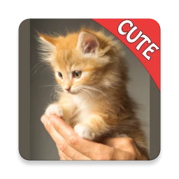 かわいい猫の記憶ゲーム のアイコン
